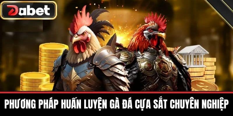 Phương Pháp Huấn Luyện Gà Đá Cựa Sắt Chuyên Nghiệp